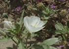 MVC02127