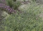 MVC02128