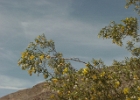 MVC02129