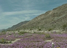 MVC02133