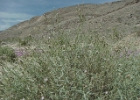 MVC02134