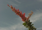 MVC02137