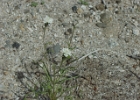 MVC02139