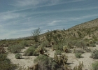 MVC02140