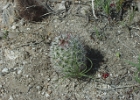 MVC02141