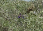 MVC02144