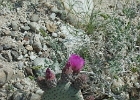 MVC02145