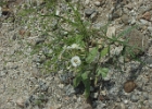 MVC02147