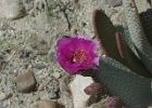 MVC02151