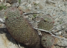 MVC02152