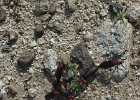 MVC02166