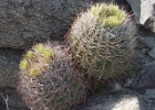MVC02173