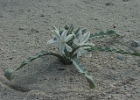 MVC02175