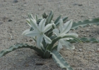 MVC02176