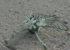 MVC02177