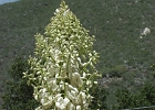 MVC02193