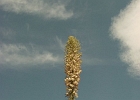 MVC02195