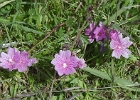 MVC02231