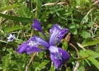 MVC02234