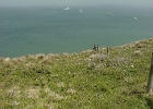 MVC02235