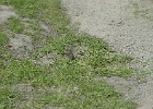 MVC02238