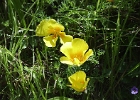 MVC02240