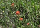 MVC02242
