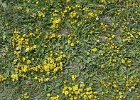 MVC02248