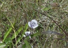 MVC02254