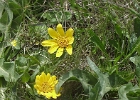 MVC02255