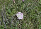 MVC02256
