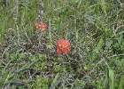 MVC02257