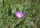 MVC02259
