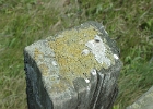 MVC02260
