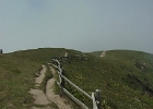 MVC02261
