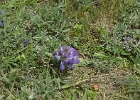 MVC02264