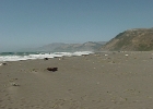 MVC02384