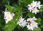 MVC02391