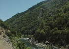 MVC02392
