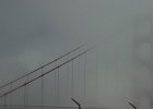 MVC02549