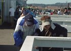 MVC02729