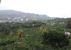 DSCN0020