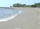 DSCN0096