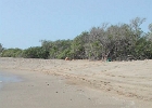 DSCN0100