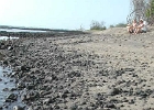 DSCN0103