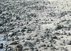 DSCN0105