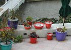DSCN0292