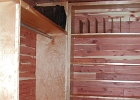DSCN0313