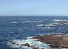 DSCN0548