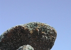 DSCN0573